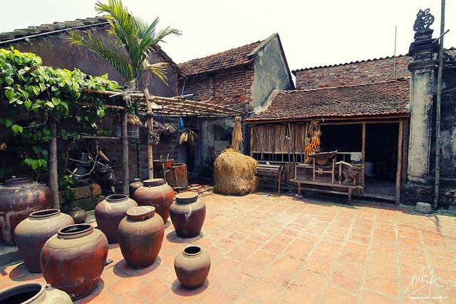 Half-day Tour to Hanoi's Ancient Village of Duong Lam